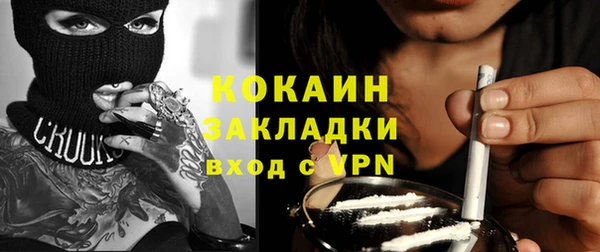 гашик Ельня
