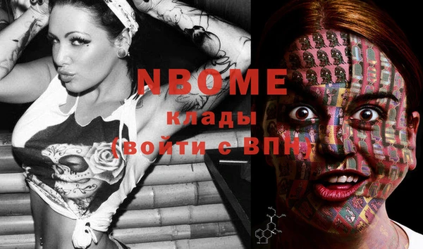 гашик Ельня