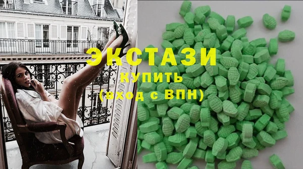 гашик Ельня