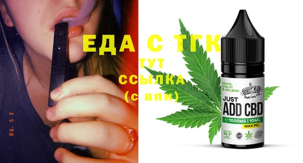 гашик Ельня