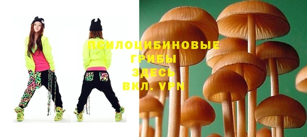 скорость Елизово