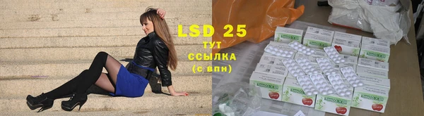гашик Ельня