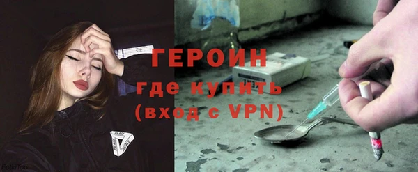 гашик Ельня