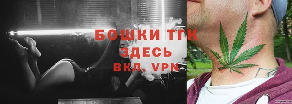 гашик Ельня