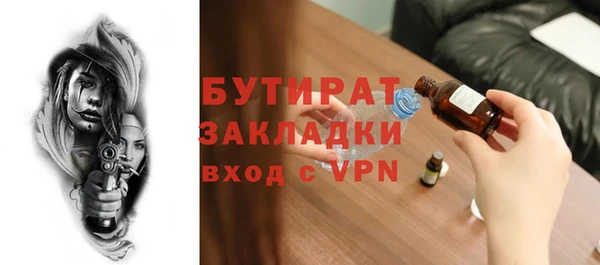 гашик Ельня