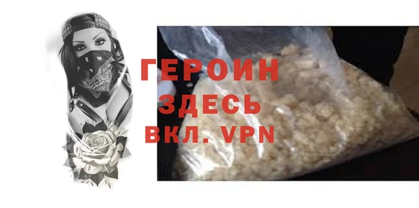 гашик Ельня