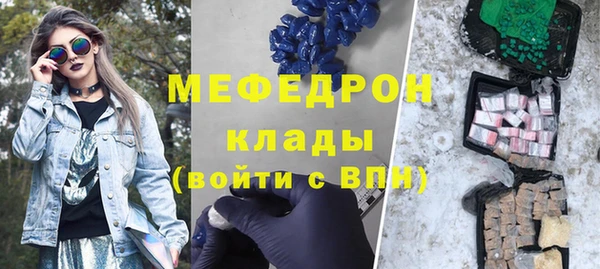 гашик Ельня