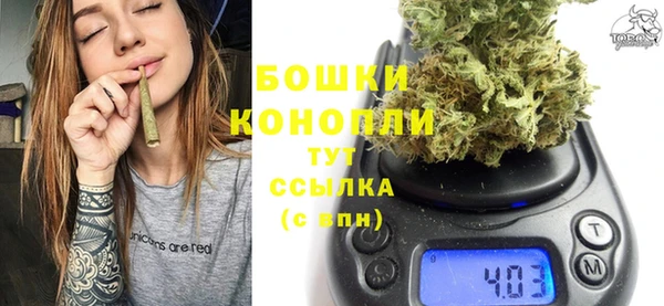 гашик Ельня