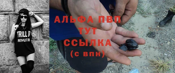 гашик Ельня