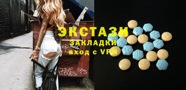 гашик Ельня