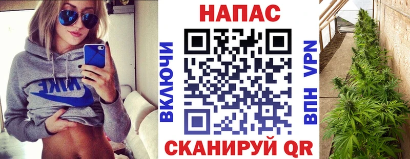 Шишки марихуана AK-47  Купить закладки  Зверево 
